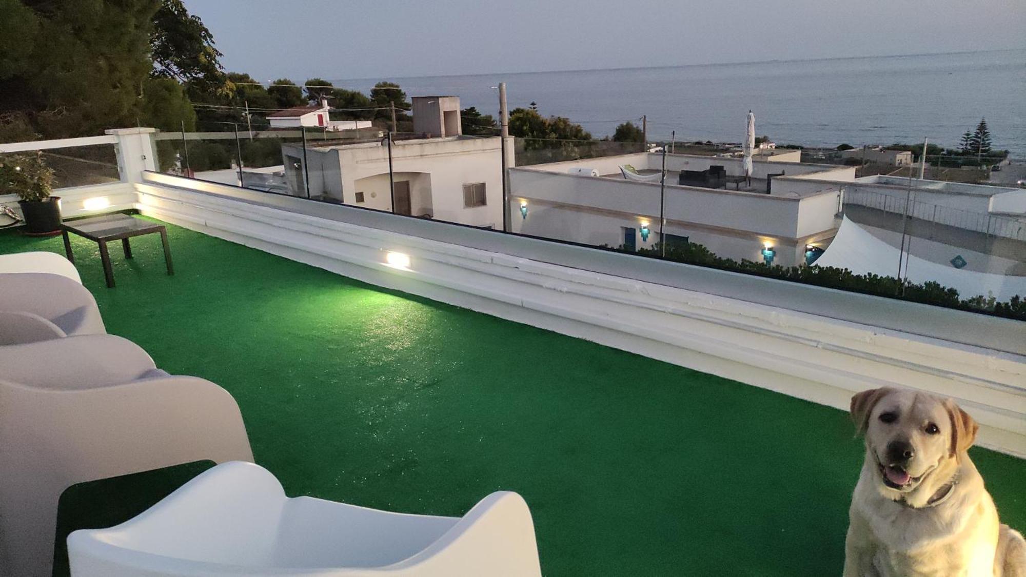 Villa Stella Torre Vado Extérieur photo